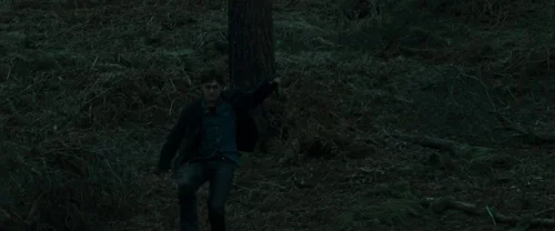harry_potter_and_the_deathly_hallows:_part_1_frame_1739128026.1608691.webp