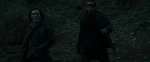 harry_potter_and_the_deathly_hallows:_part_1_frame_1739128026.3998713.webp