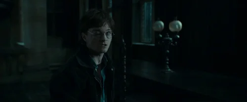 harry_potter_and_the_deathly_hallows:_part_1_frame_1739128028.2904809.webp