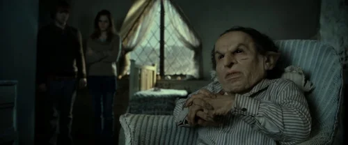 harry_potter_and_the_deathly_hallows:_part_2_frame_1739128211.217766.webp
