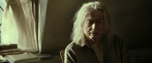 harry_potter_and_the_deathly_hallows:_part_2_frame_1739128212.533512.webp