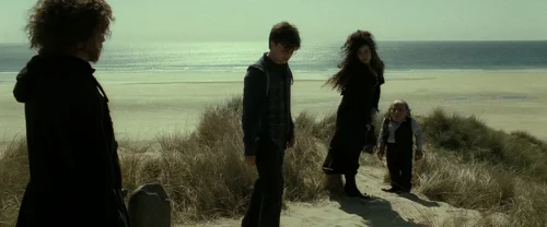 harry_potter_and_the_deathly_hallows:_part_2_frame_1739128212.8596838.webp