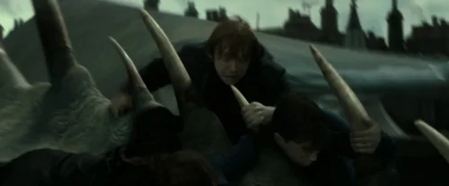 harry_potter_and_the_deathly_hallows:_part_2_frame_1739128215.2875383.webp