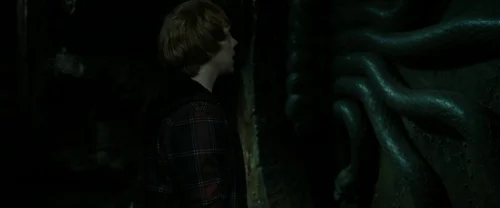 harry_potter_and_the_deathly_hallows:_part_2_frame_1739128222.6803858.webp