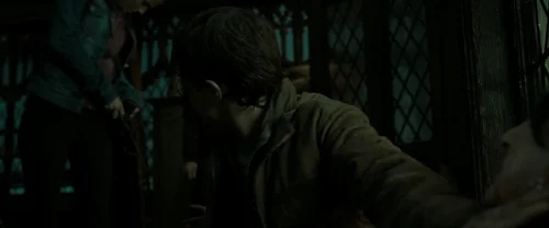 harry_potter_and_the_deathly_hallows:_part_2_frame_1739128228.3486962.webp