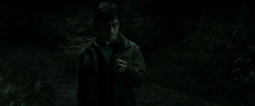 harry_potter_and_the_deathly_hallows:_part_2_frame_1739128232.5418267.webp