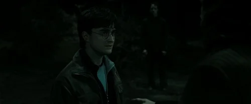 harry_potter_and_the_deathly_hallows:_part_2_frame_1739128233.1125975.webp
