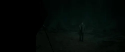 harry_potter_and_the_deathly_hallows:_part_2_frame_1739128233.624185.webp
