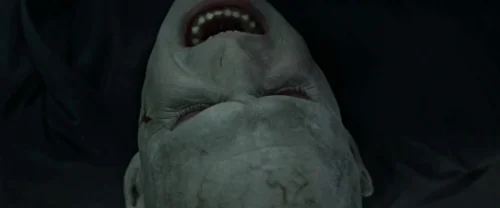 harry_potter_and_the_deathly_hallows:_part_2_frame_1739128237.3564517.webp
