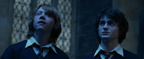 harry_potter_and_the_goblet_of_fire_frame_1739126885.0812392.webp