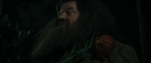 harry_potter_and_the_goblet_of_fire_frame_1739126889.6513886.webp