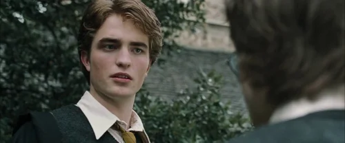 harry_potter_and_the_goblet_of_fire_frame_1739126889.9302309.webp