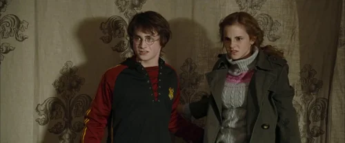 harry_potter_and_the_goblet_of_fire_frame_1739126891.1284165.webp