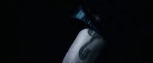 harry_potter_and_the_goblet_of_fire_frame_1739126897.79634.webp