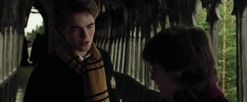 harry_potter_and_the_goblet_of_fire_frame_1739126898.3643365.webp
