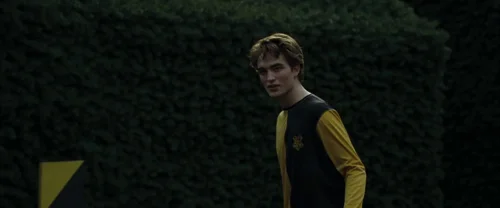 harry_potter_and_the_goblet_of_fire_frame_1739126904.943926.webp