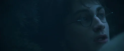 harry_potter_and_the_goblet_of_fire_frame_1739126906.624578.webp