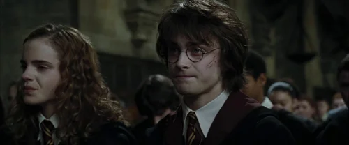 harry_potter_and_the_goblet_of_fire_frame_1739126911.6939662.webp