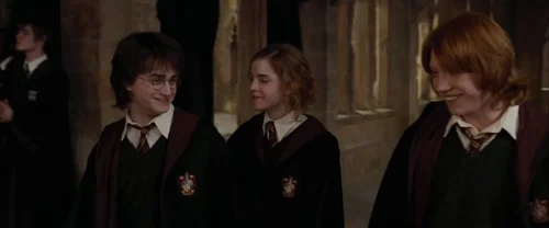 harry_potter_and_the_goblet_of_fire_frame_1739126912.7050784.webp