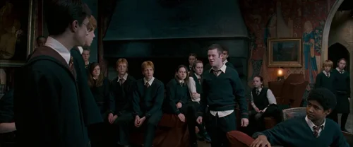 harry_potter_and_the_order_of_the_phoenix_frame_1739127100.242778.webp