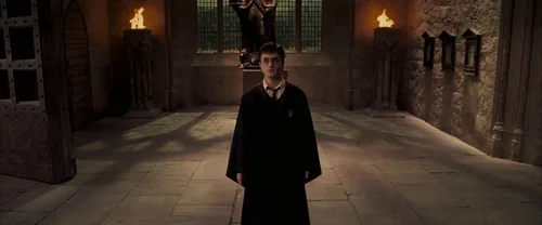 harry_potter_and_the_order_of_the_phoenix_frame_1739127105.234498.webp