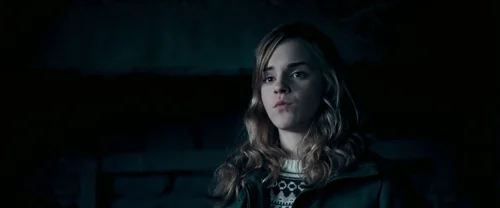 harry_potter_and_the_order_of_the_phoenix_frame_1739127106.0153182.webp