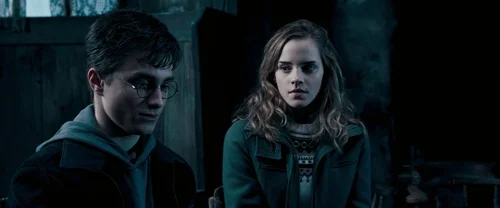 harry_potter_and_the_order_of_the_phoenix_frame_1739127106.5296025.webp