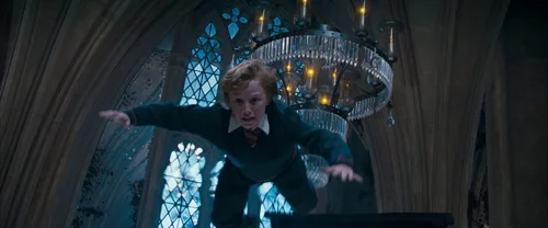 harry_potter_and_the_order_of_the_phoenix_frame_1739127107.8253746.webp