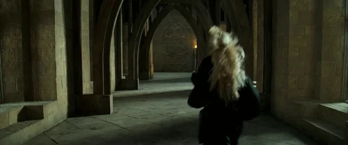 harry_potter_and_the_order_of_the_phoenix_frame_1739127108.0905712.webp