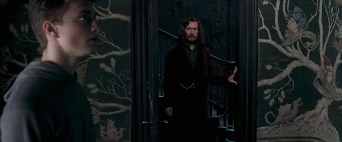 harry_potter_and_the_order_of_the_phoenix_frame_1739127110.6434526.webp