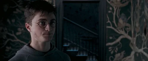 harry_potter_and_the_order_of_the_phoenix_frame_1739127110.846965.webp