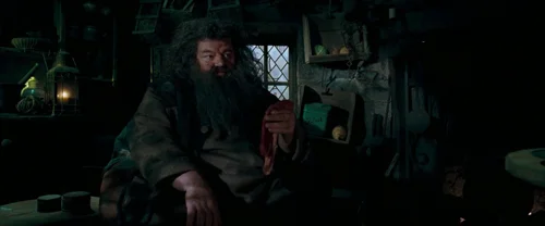 harry_potter_and_the_order_of_the_phoenix_frame_1739127111.7865512.webp