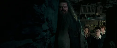 harry_potter_and_the_order_of_the_phoenix_frame_1739127112.0817108.webp