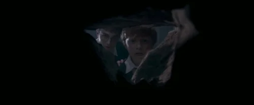 harry_potter_and_the_order_of_the_phoenix_frame_1739127113.392825.webp