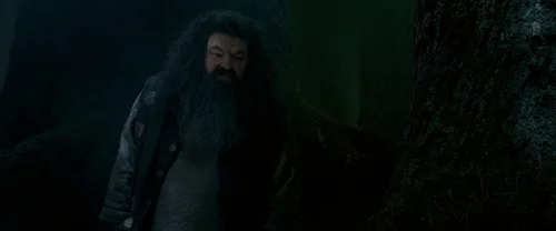 harry_potter_and_the_order_of_the_phoenix_frame_1739127114.544151.webp