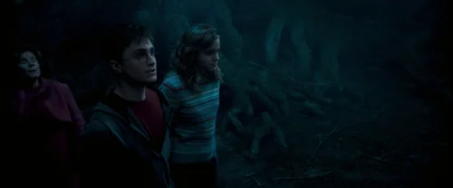 harry_potter_and_the_order_of_the_phoenix_frame_1739127118.1529796.webp