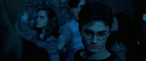 harry_potter_and_the_order_of_the_phoenix_frame_1739127120.2808707.webp