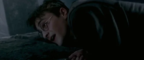 harry_potter_and_the_order_of_the_phoenix_frame_1739127121.0038145.webp