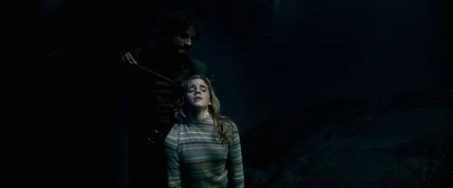 harry_potter_and_the_order_of_the_phoenix_frame_1739127121.2679622.webp