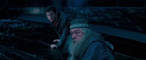 harry_potter_and_the_order_of_the_phoenix_frame_1739127122.8679526.webp
