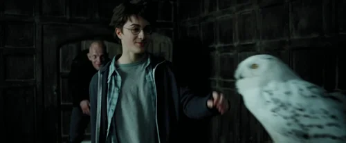 harry_potter_and_the_prisoner_of_azkaban_frame_1738974532.5388389.webp