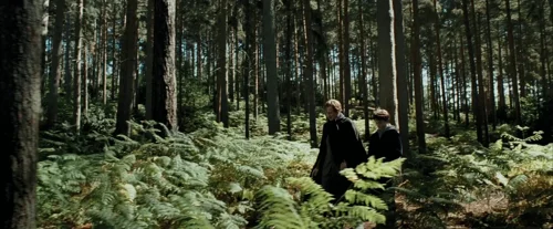 harry_potter_and_the_prisoner_of_azkaban_frame_1738974542.669353.webp