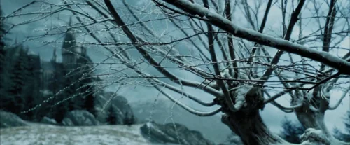 harry_potter_and_the_prisoner_of_azkaban_frame_1738974544.542868.webp