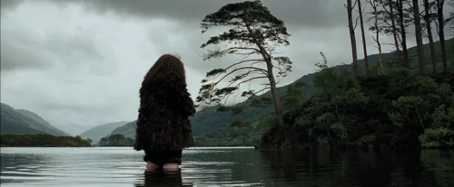 harry_potter_and_the_prisoner_of_azkaban_frame_1738974545.650237.webp