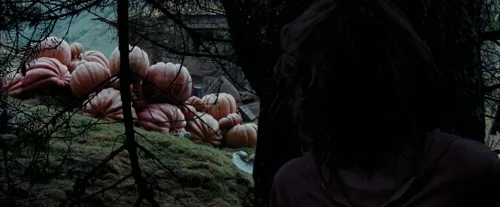 harry_potter_and_the_prisoner_of_azkaban_frame_1738974553.8041387.webp