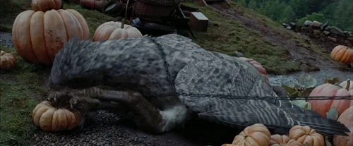 harry_potter_and_the_prisoner_of_azkaban_frame_1738974554.0551267.webp
