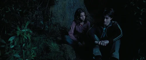 harry_potter_and_the_prisoner_of_azkaban_frame_1738974554.7248054.webp