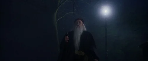 harry_potter_and_the_sorcerer's_stone_frame_1738718633.8424525.webp