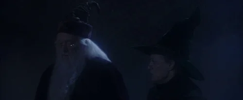 harry_potter_and_the_sorcerer's_stone_frame_1738718634.0848927.webp