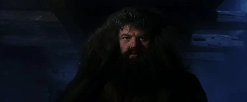 harry_potter_and_the_sorcerer's_stone_frame_1738718638.061493.webp